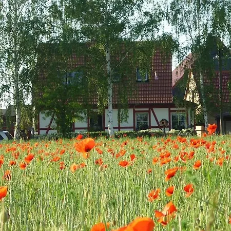 Erpelhaus In Laendlicher Idylle Mit Stadtnaehe Zu Erfurt Und Weimar منزل للإقامة