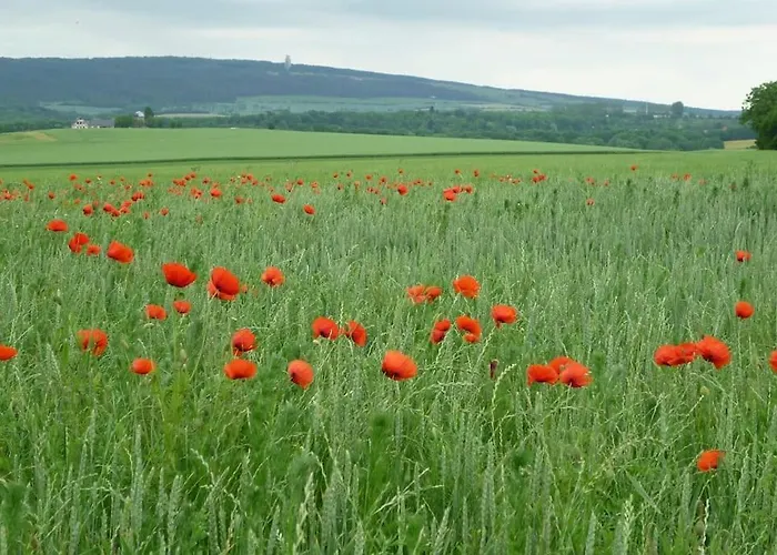 Homestay Erpelhaus In Laendlicher Idylle Mit Stadtnaehe Zu Erfurt Und Weimar