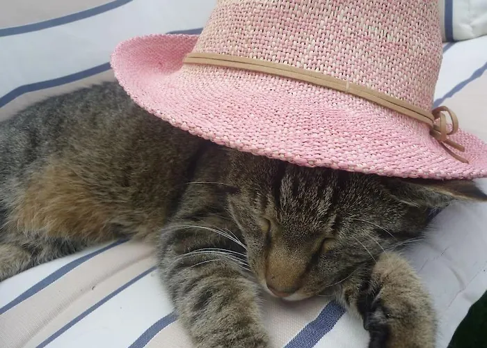 Erpelhaus In Laendlicher Idylle Mit Stadtnaehe Zu Erfurt Und Weimar