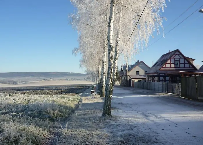 Erpelhaus In Laendlicher Idylle Mit Stadtnaehe Zu Erfurt Und Weimar Homestay *