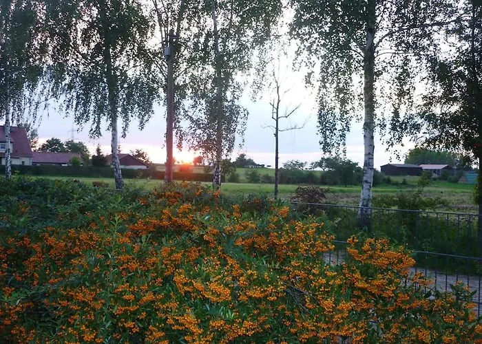 Erpelhaus In Laendlicher Idylle Mit Stadtnaehe Zu Erfurt Und Weimar Homestay Utzberg