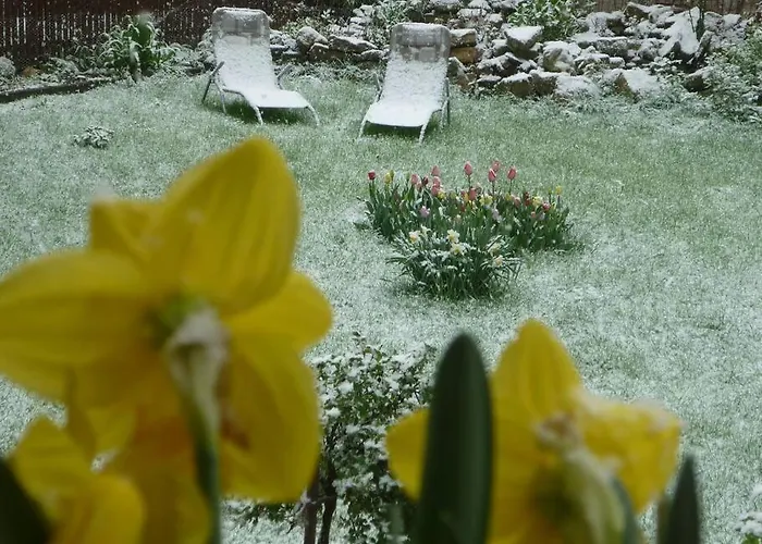Homestay Erpelhaus In Laendlicher Idylle Mit Stadtnaehe Zu Erfurt Und Weimar Utzberg