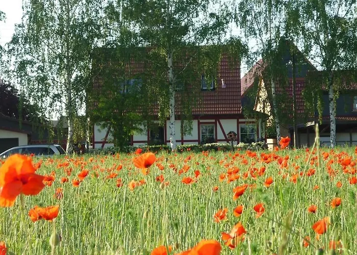 Erpelhaus In Laendlicher Idylle Mit Stadtnaehe Zu Erfurt Und Weimar Homestay